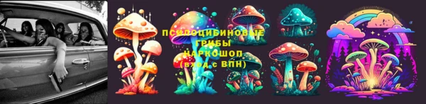стаф Нязепетровск