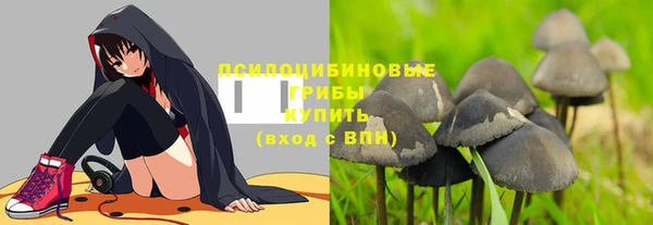 молекула духа Няндома
