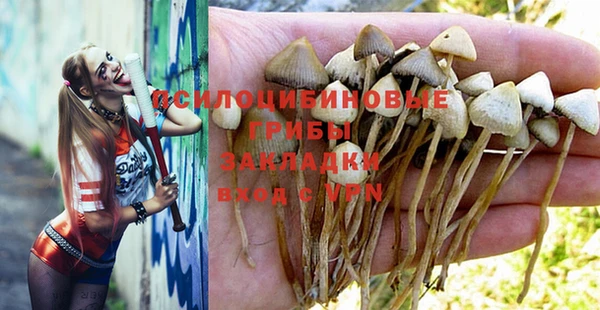 метадон Аша