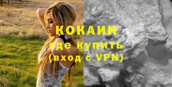 молекула духа Няндома