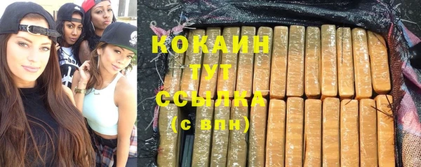 молекула духа Няндома