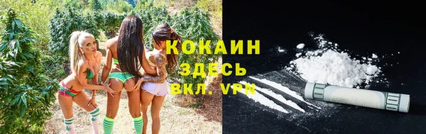 молекула духа Няндома