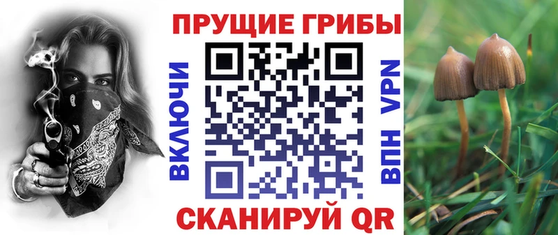Псилоцибиновые грибы Psilocybe где купить наркотик Иваново
